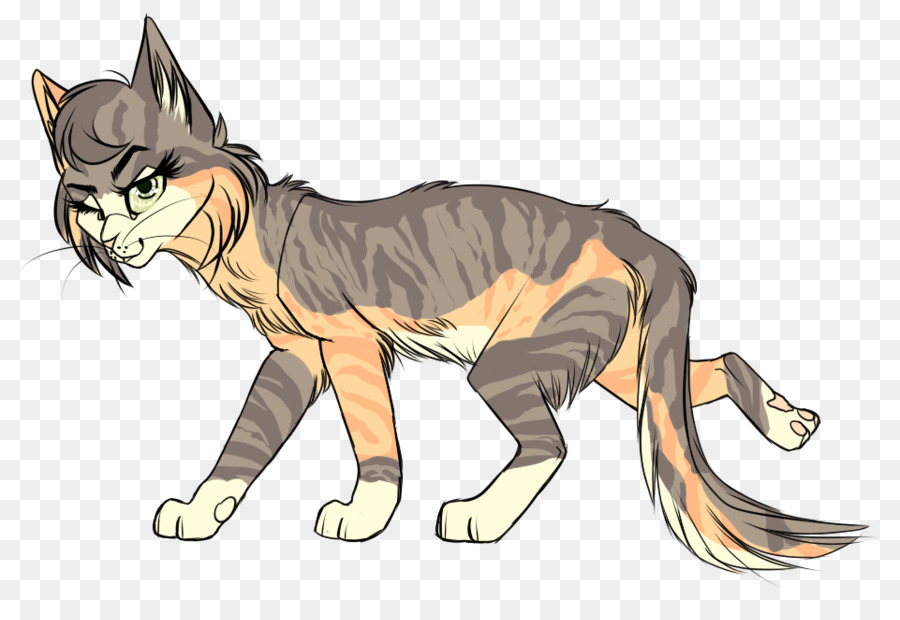 Gato De Dibujos Animados，Hojas PNG