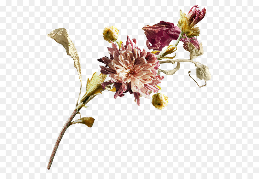 Cortar Flores，Flor PNG