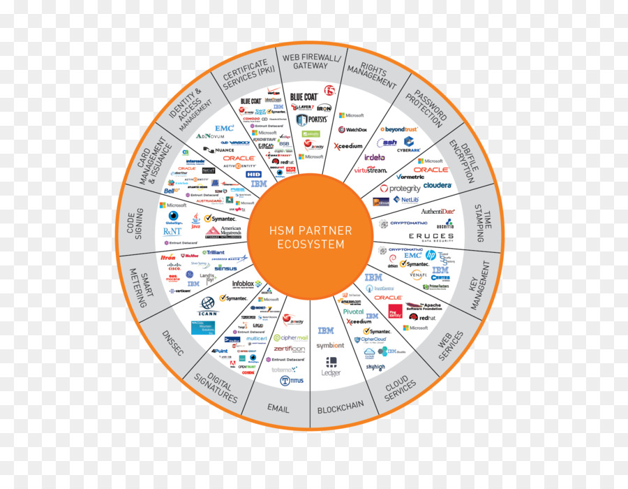 Módulo De Seguridad De Hardware，Safenet PNG