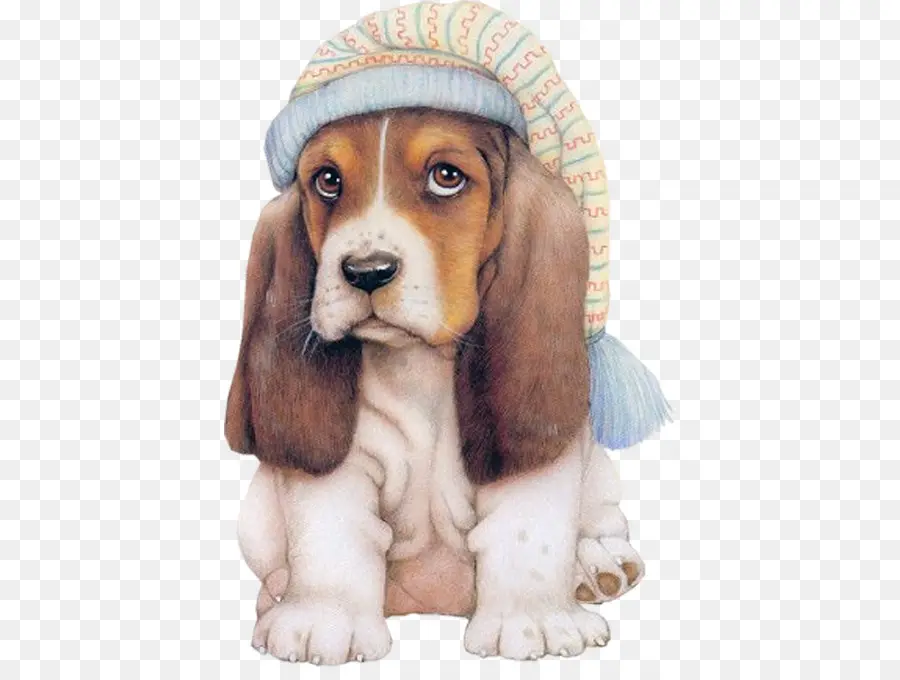 Cachorro，Perro PNG