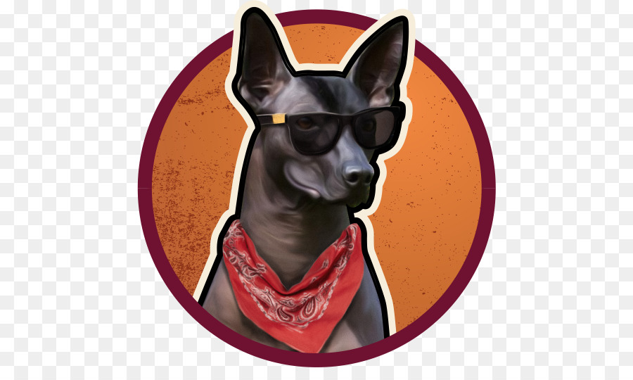 Raza De Perro，Perro PNG