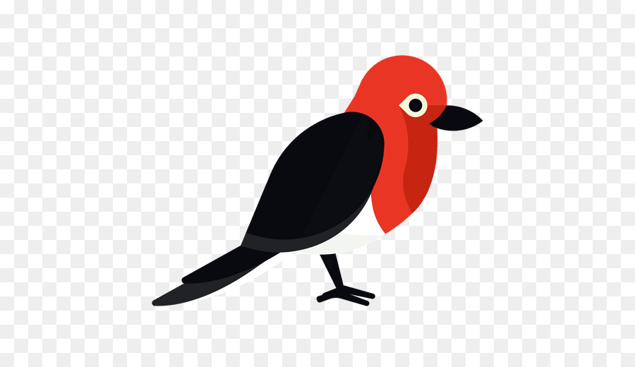 Pájaro，Pájaro Carpintero PNG