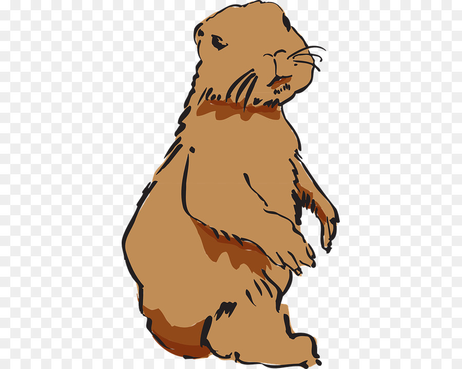 Beaver，Piel PNG