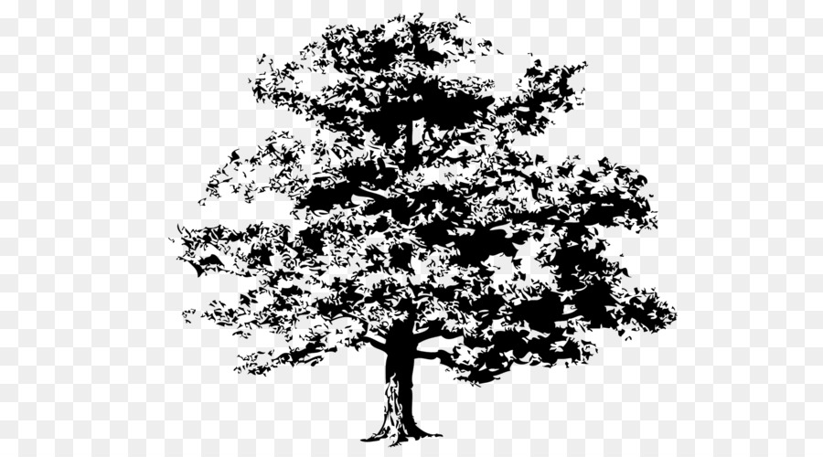 árbol，Dibujo PNG