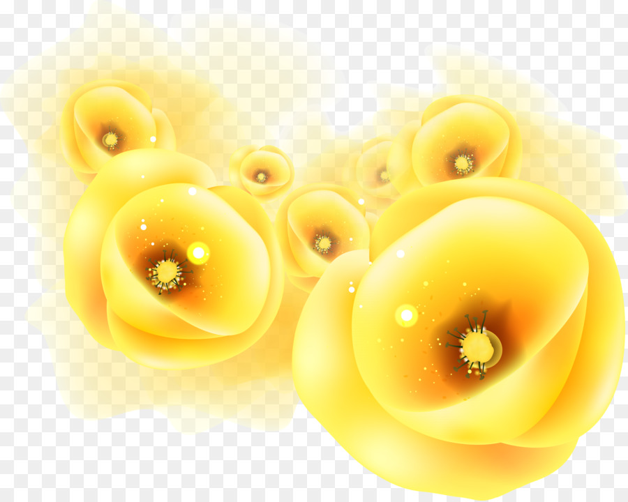 Amarillo，Flor PNG