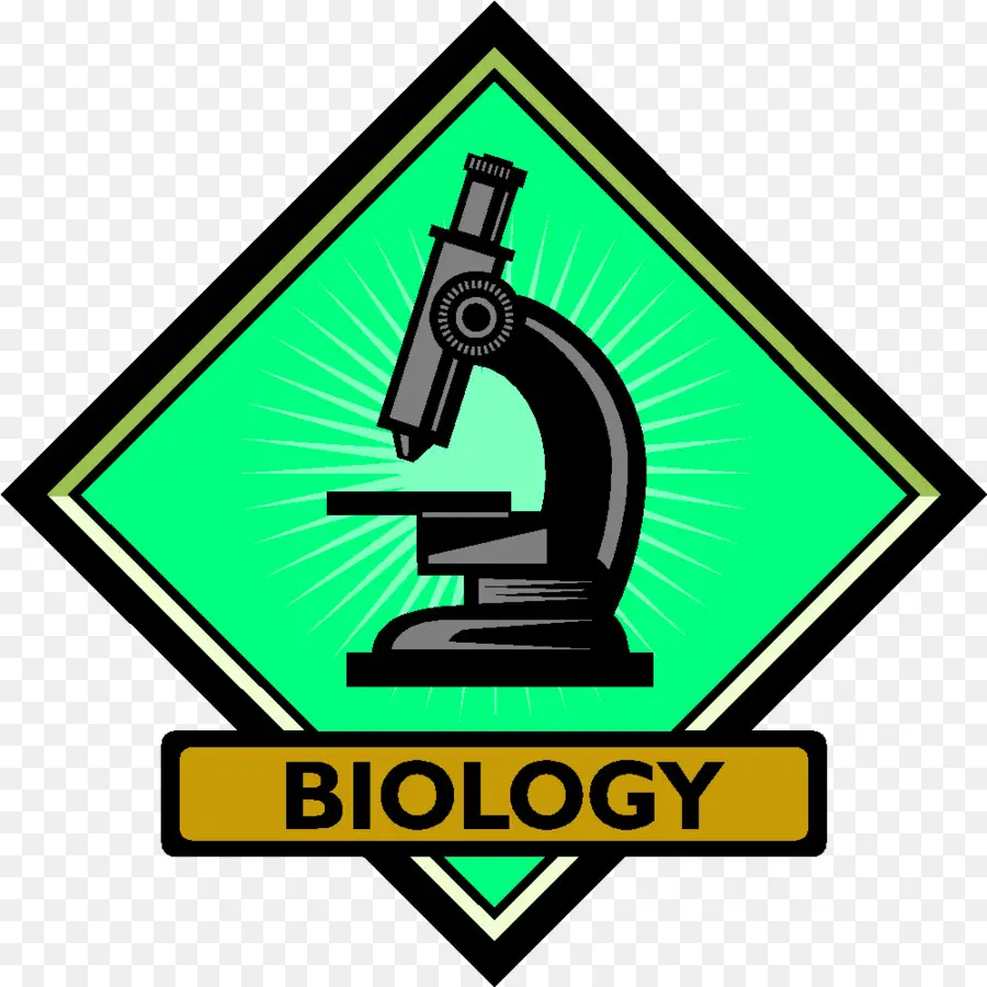 Biología，Biología Molecular PNG