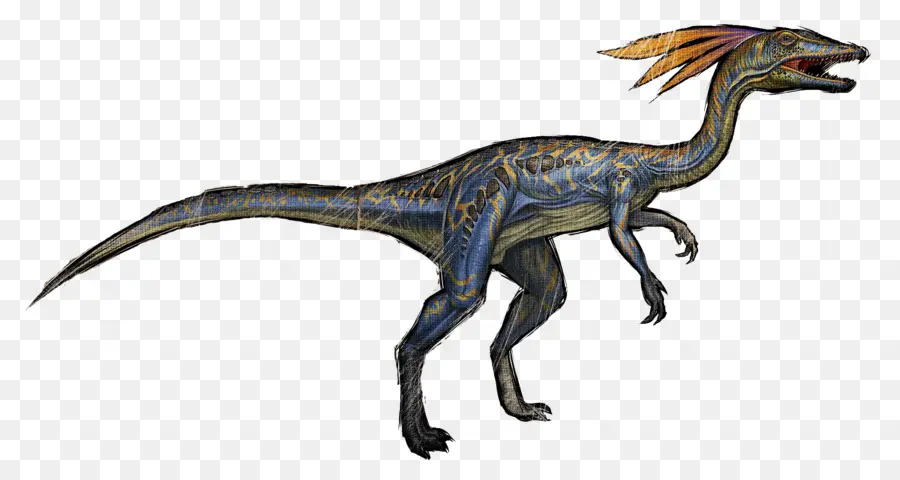 Arca De Supervivencia Evolucionado，Compsognathus PNG