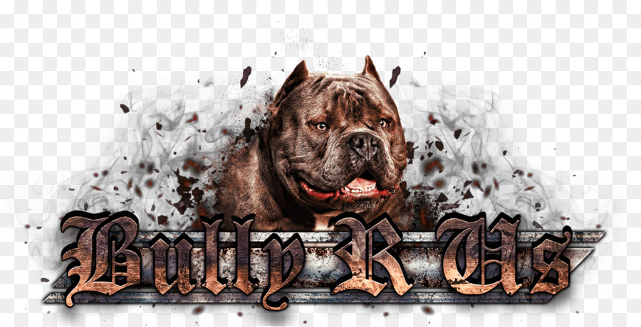 Raza De Perro，Perro PNG