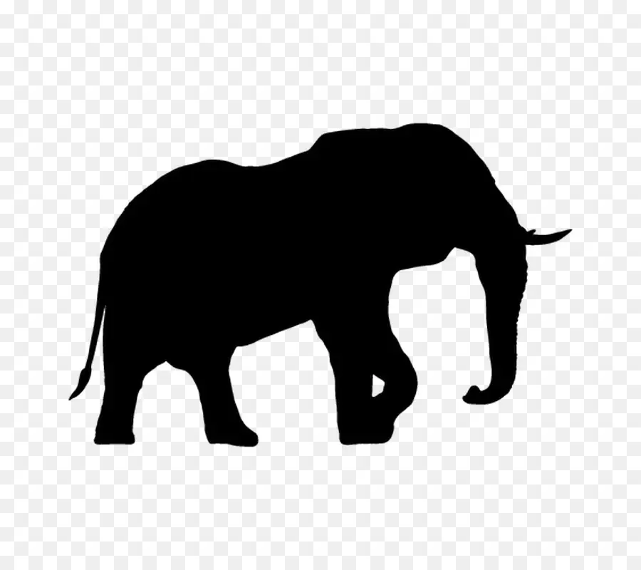 Elefante，Silueta PNG