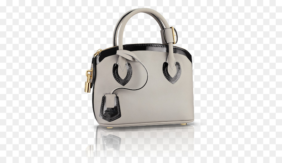 Bolso，Cartera PNG