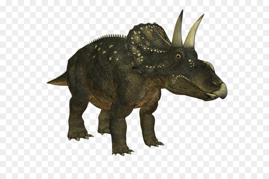 Dinosaurio，Triceratops PNG