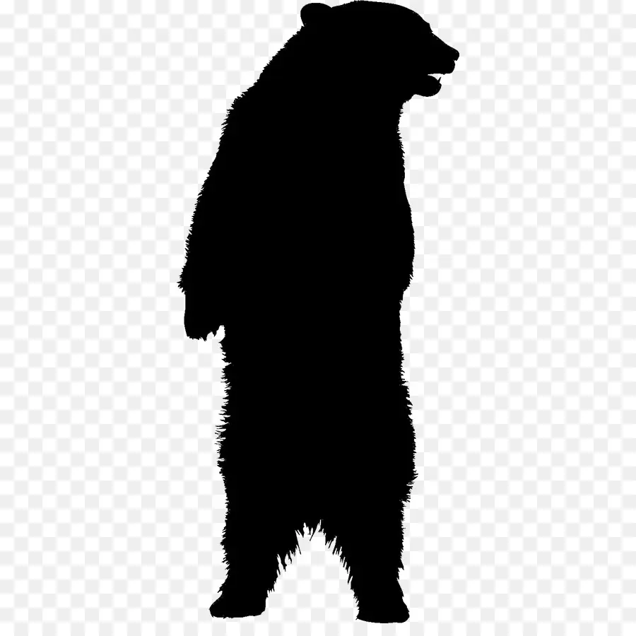 Oso，El Oso Negro Americano PNG