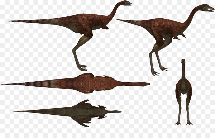 Velociraptor，Animal PNG