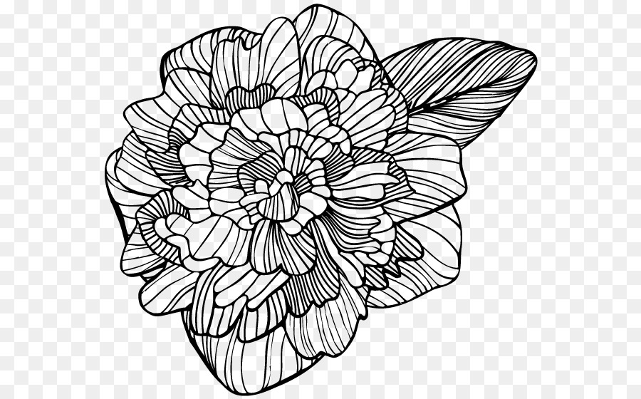 Diseño Floral，M02csf PNG