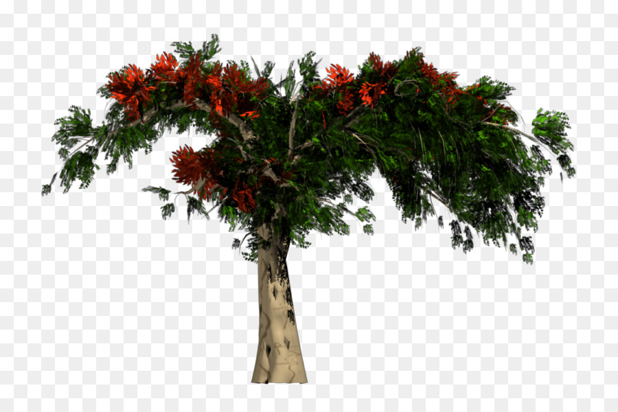 árbol Africano，La Representación PNG