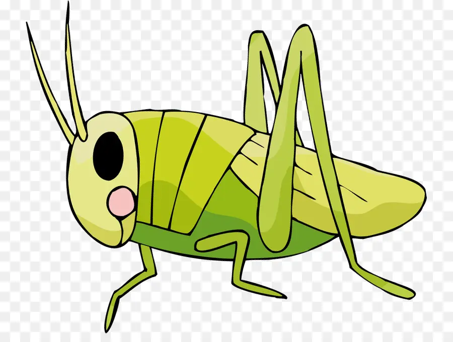 Insecto，Dibujos Animados PNG