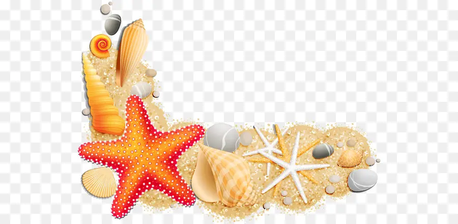 Conchas Y Estrellas De Mar，Arena PNG