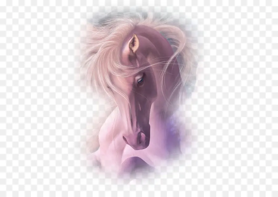 Caballo，Pony PNG