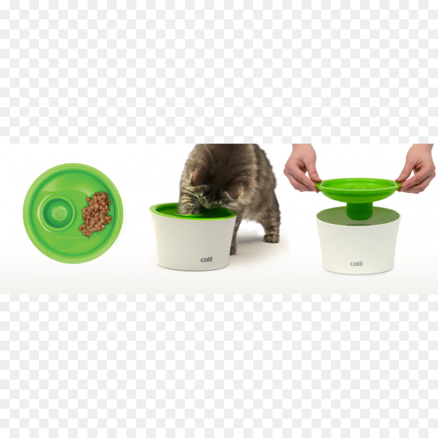 Gato，La Comida Para Gatos PNG