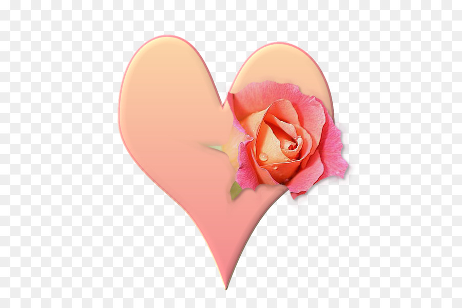 Corazón Y Rosas，Corazón PNG