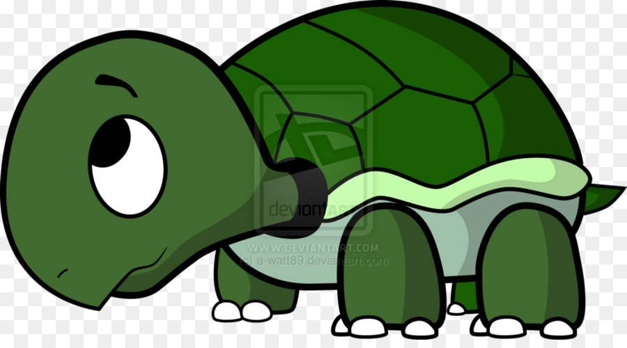 Tortuga，Tom Tortuga PNG