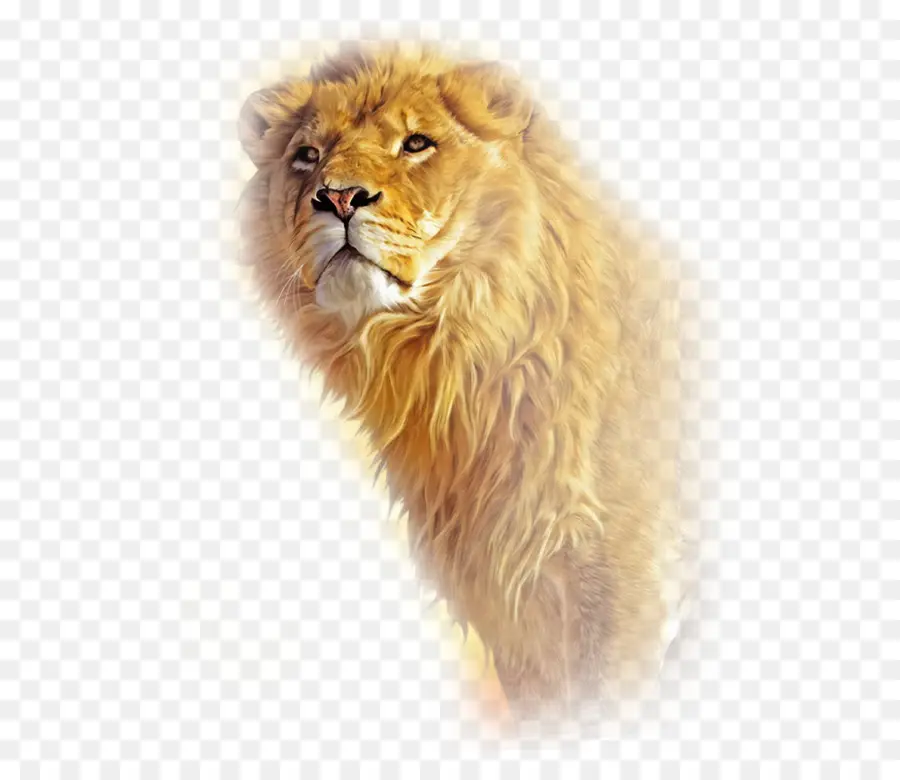 León，Salvaje PNG