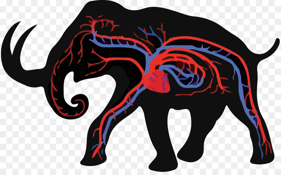 Elefante Asiático，El Elefante Africano PNG