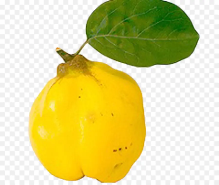 Membrillo，Amarillo PNG