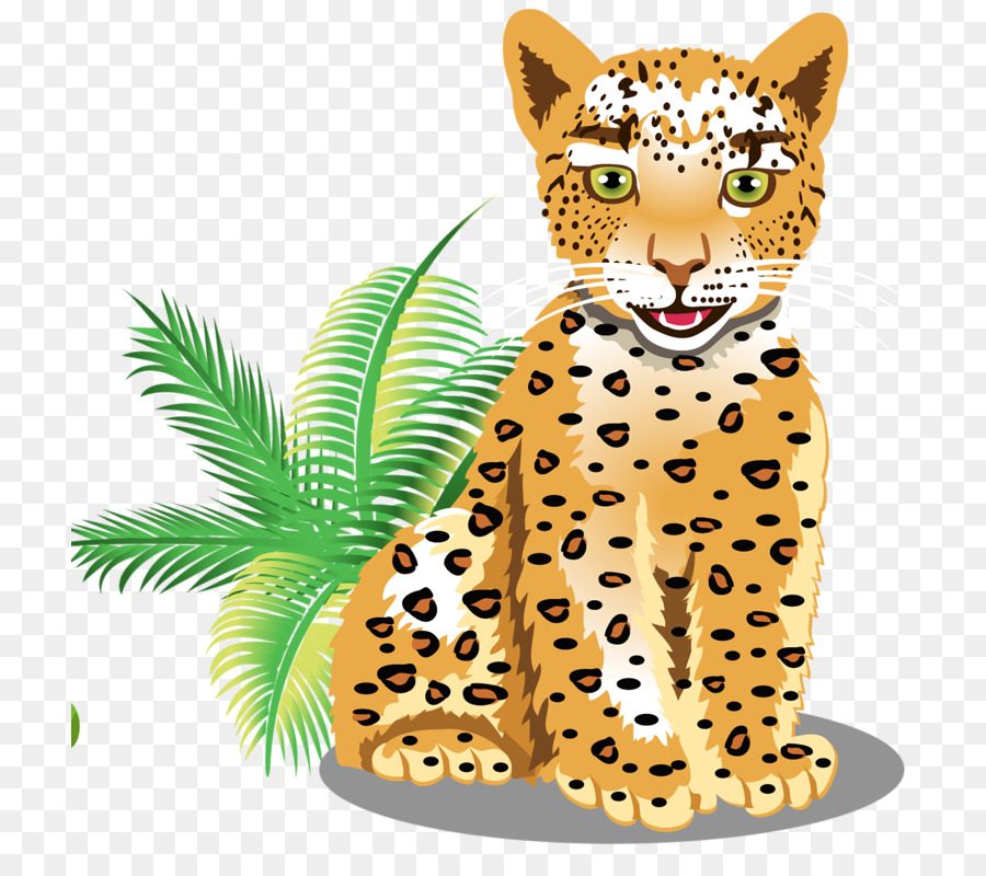 Leopard，Felidae PNG