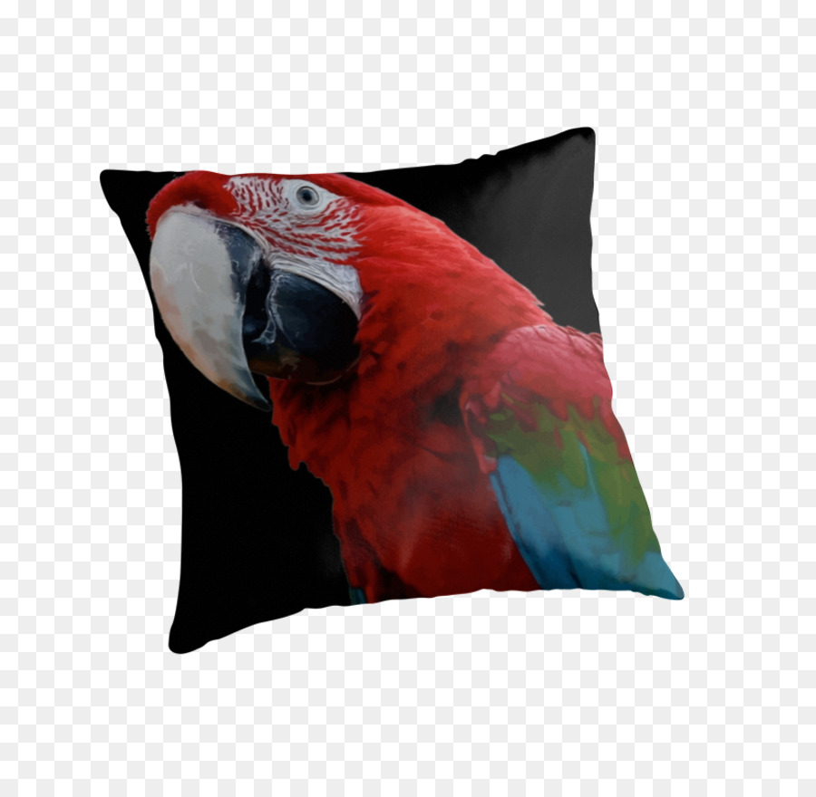 Cojín，Almohadas PNG