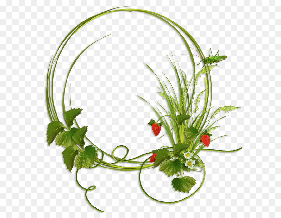 Marco Floral Verde，Marco PNG