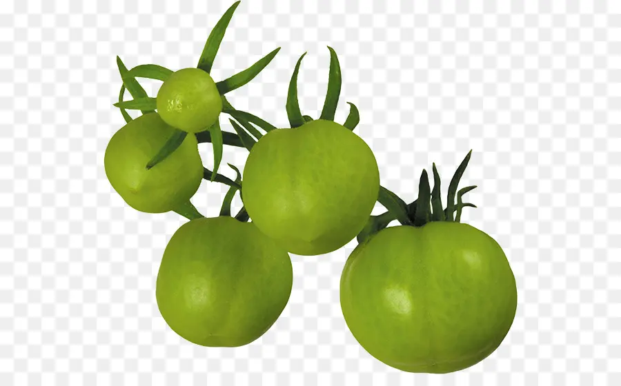 Tomate，Tomates Verdes Fritos PNG