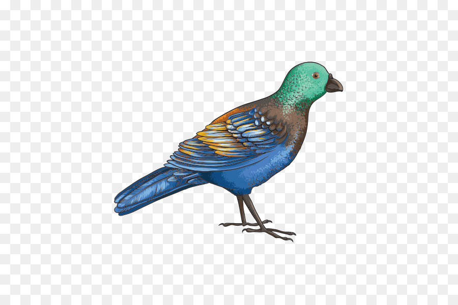 Pájaro，Búho PNG