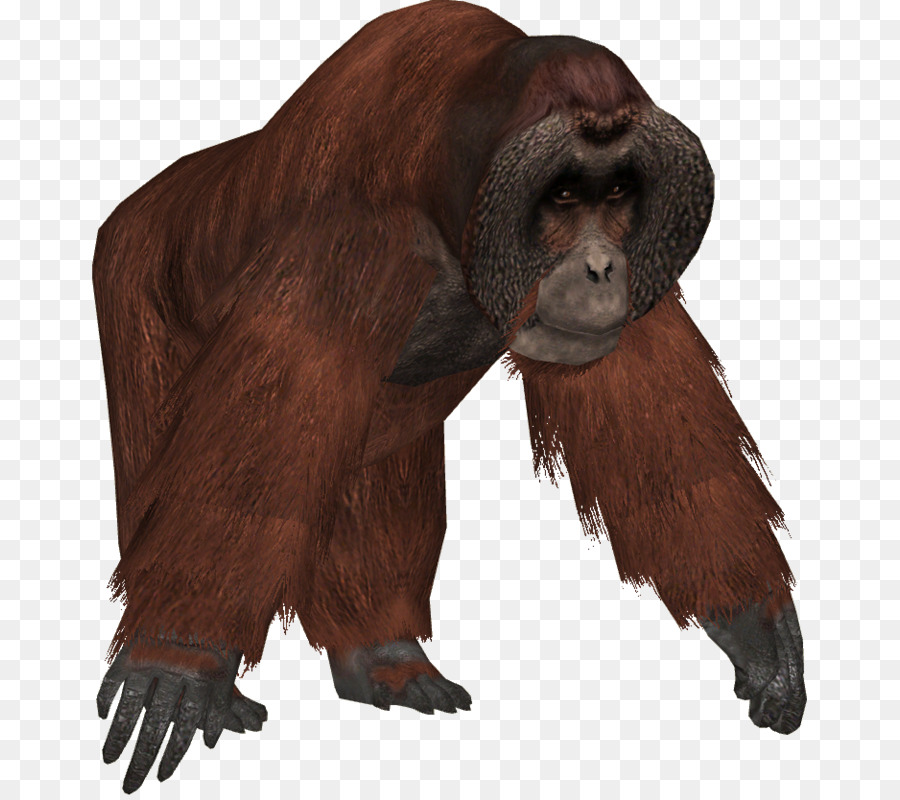 Chimpancé Común，Tycoon De Zoológico 2 PNG