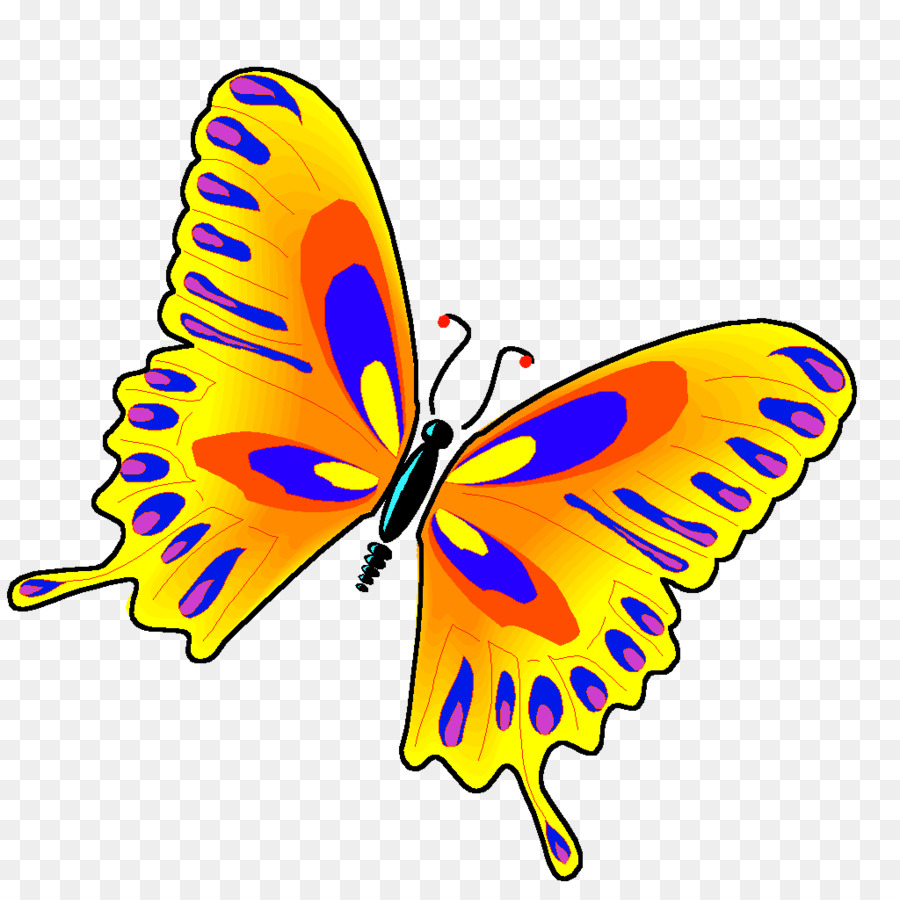 Animación，Mariposa PNG