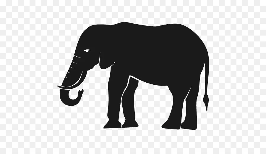 Elefante，Negro PNG