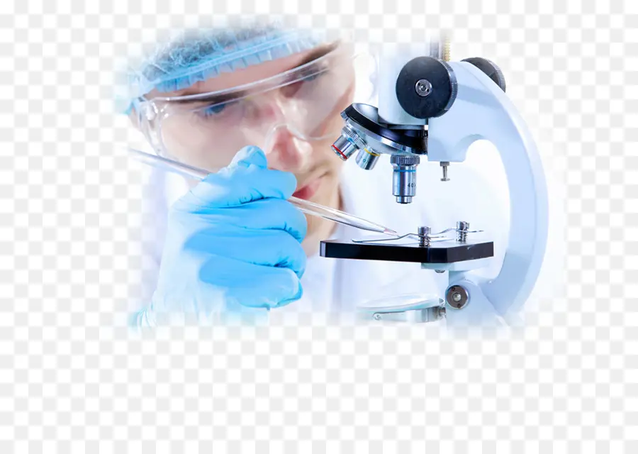 Laboratorio，El Diagnóstico Médico PNG