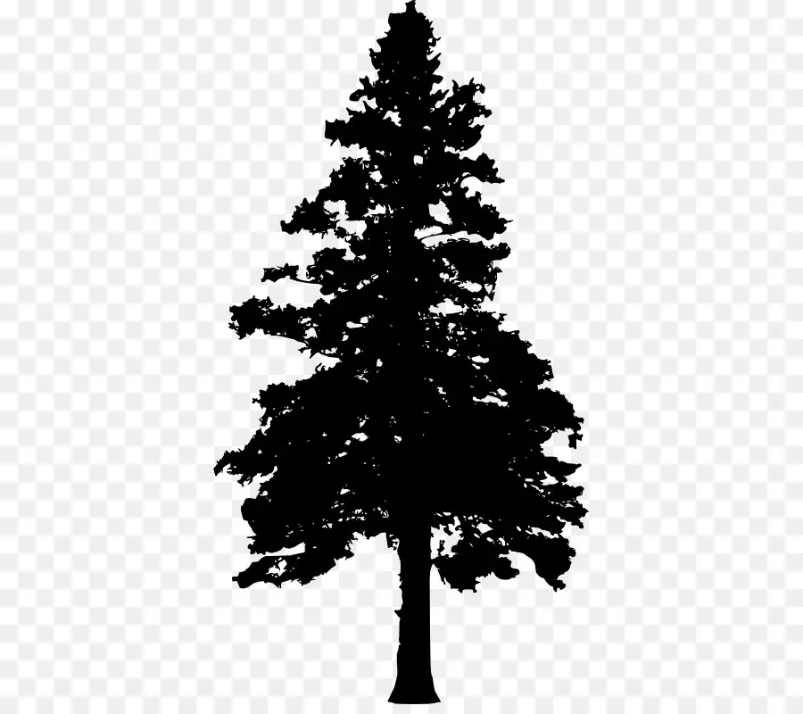 Silueta De Arbol，Negro PNG