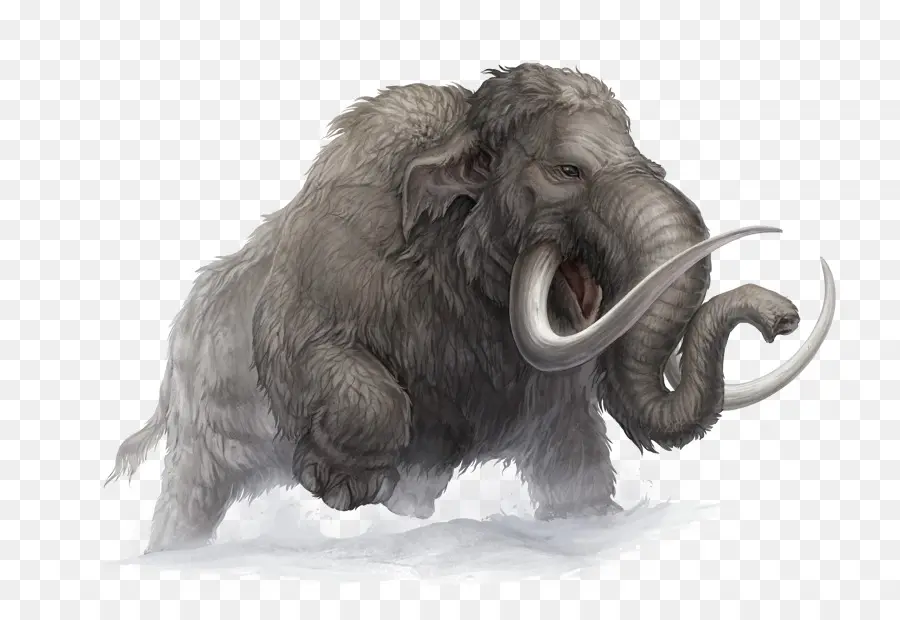 Far Cry Primal，Mamut Lanudo PNG