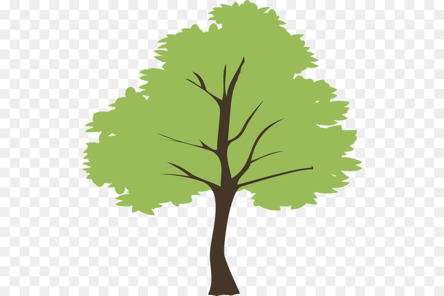 árbol，Postscript Encapsulado PNG