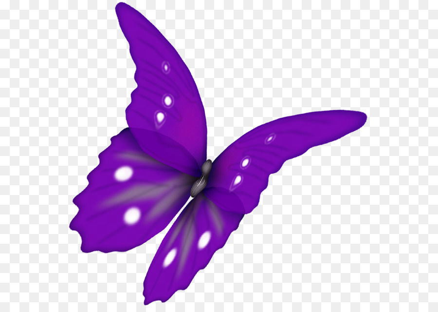 Mariposas Moradas，Naturaleza PNG