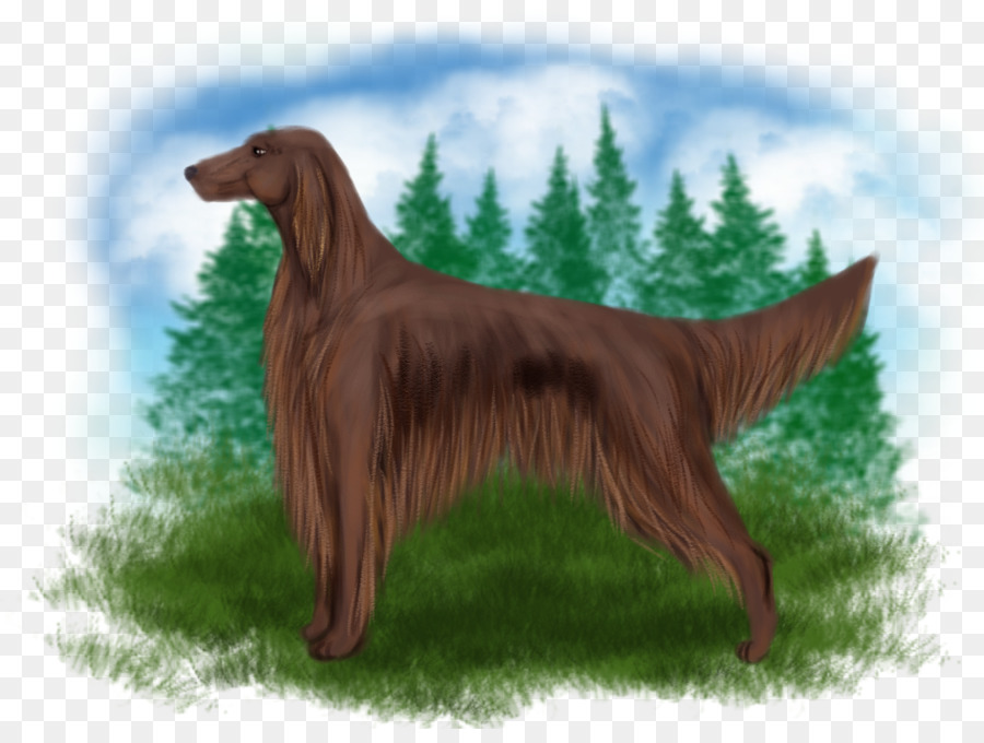 Setter Irlandés，Flatcoated Retriever PNG