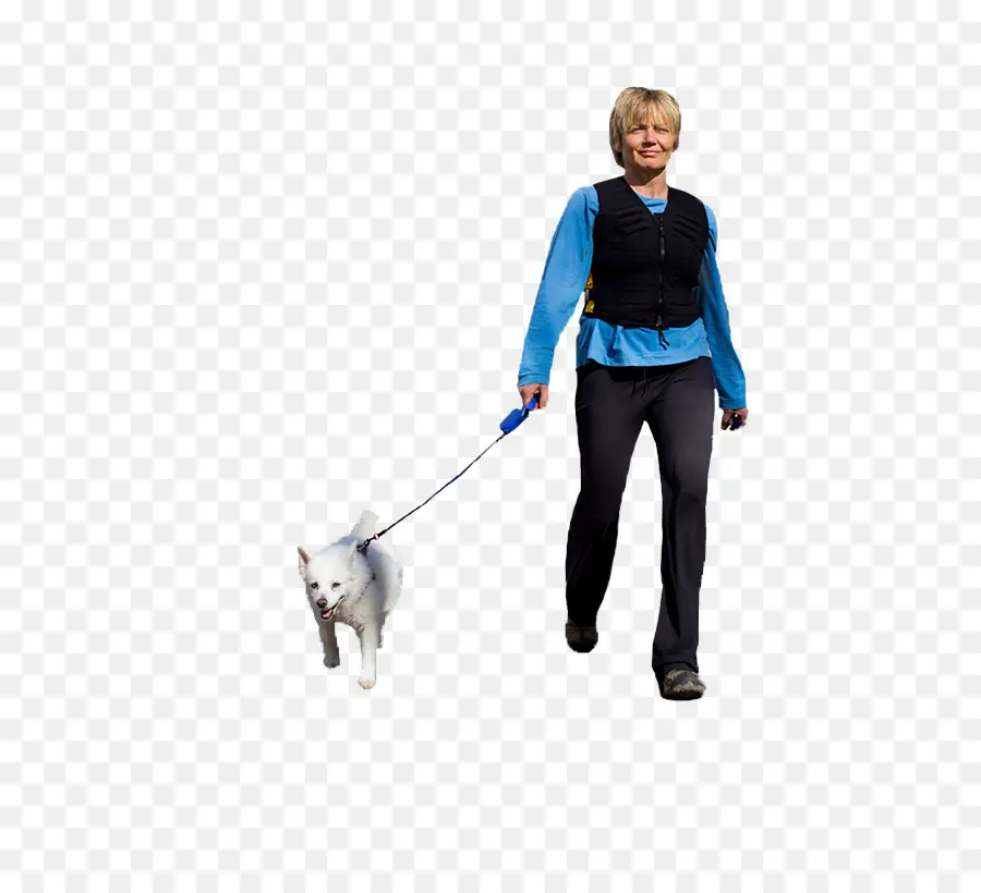 Persona Paseando Perro，Perro PNG