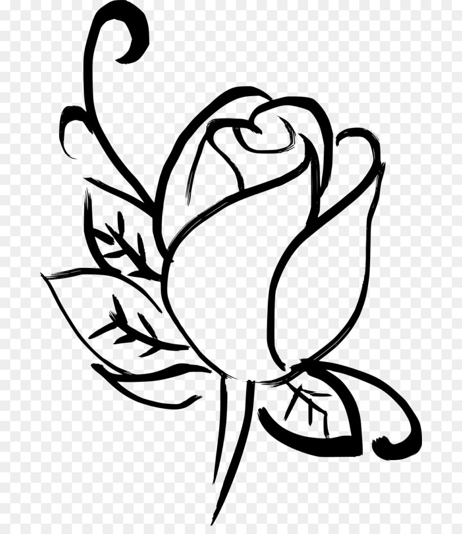 Flor，Florecer PNG