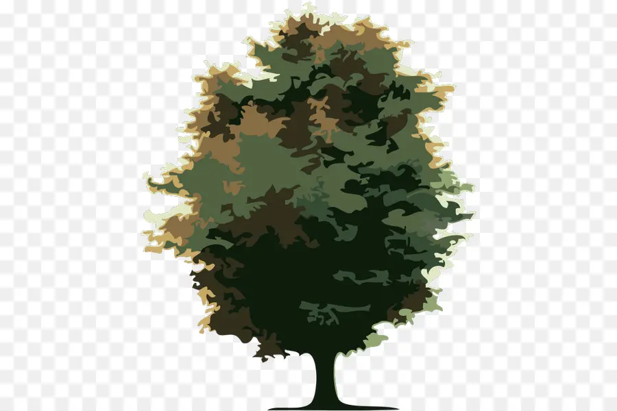 Cdr，árbol PNG