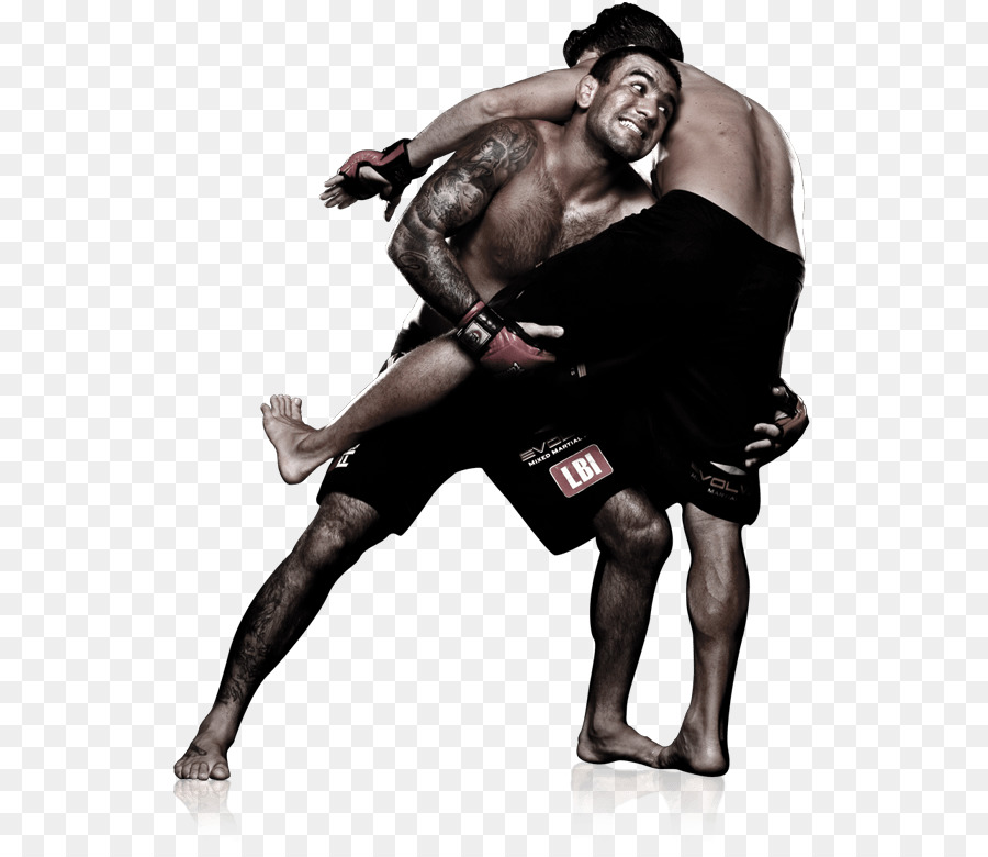 Las Artes Marciales Mixtas，Boxeo PNG