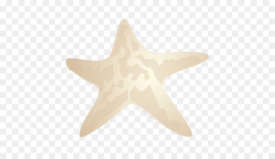 Estrella De Mar Beige，Estrella De Mar PNG