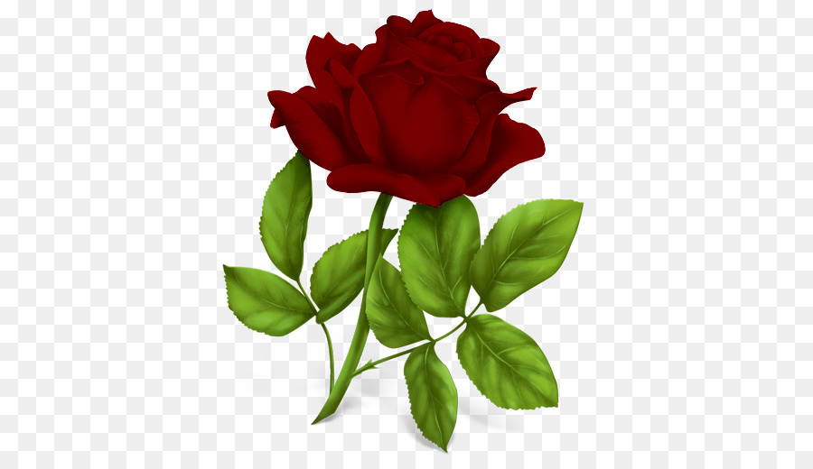 Rosa，Rojo PNG