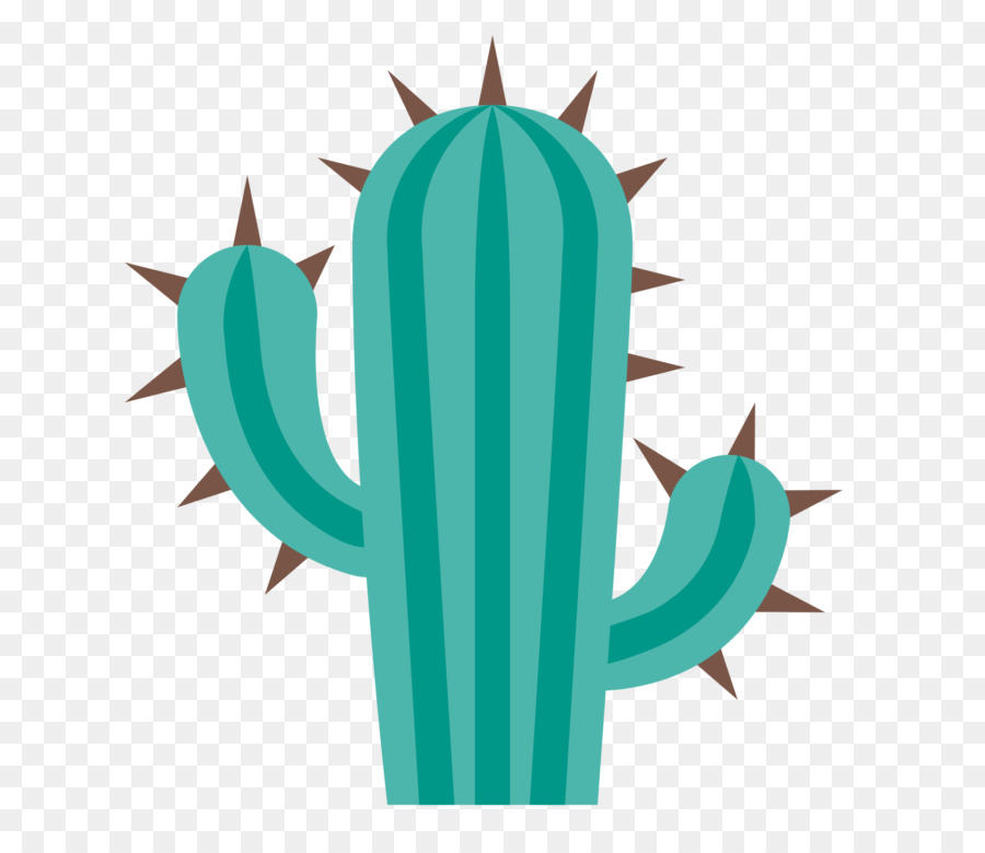 Cactaceae，Iconos De Equipo PNG