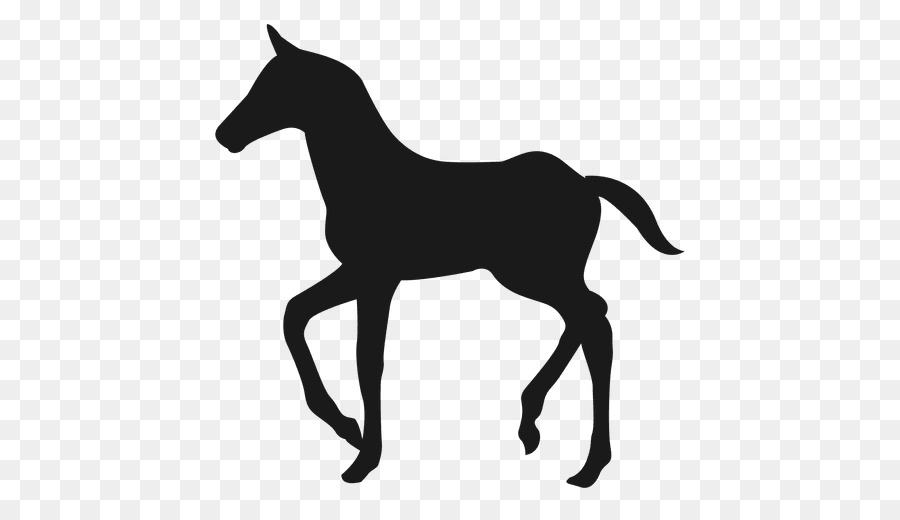 Negro Unicornio，Unicornio PNG